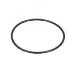 O - ring