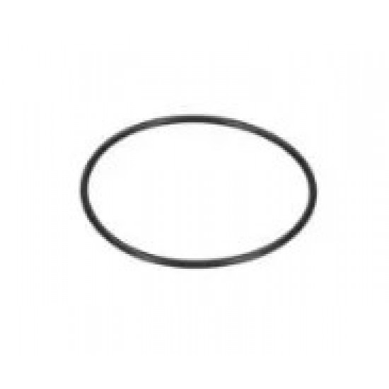 O - ring