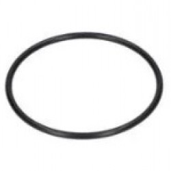 O - ring