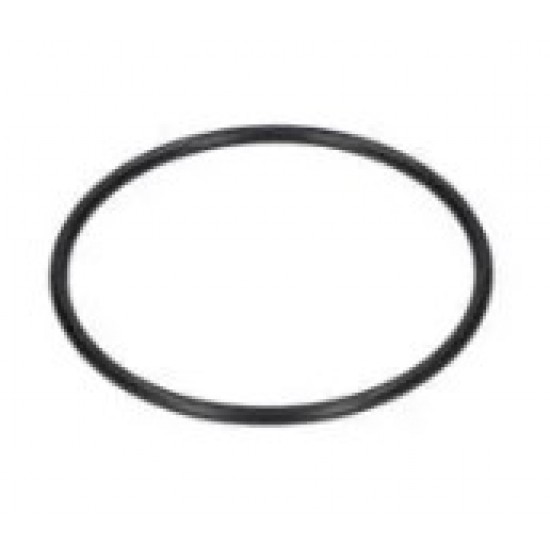 O - ring