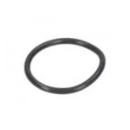 O - ring