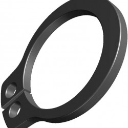 Anello Seeger