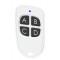 Radiocomando a codice fisso 20331 Mod. SPOON