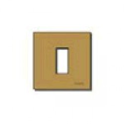 Placca 1M allum. scatto bronzo