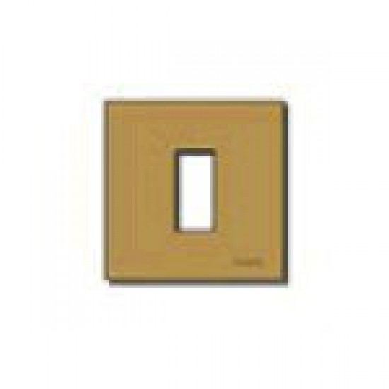 Placca 1M allum. scatto bronzo