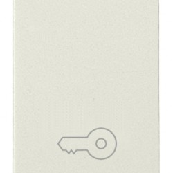 Pulsante 1P NO 10A chiave bianco