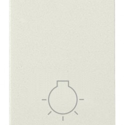 Pulsante 1P NO 10A luce bianco