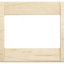 Placca Classica 3M acero