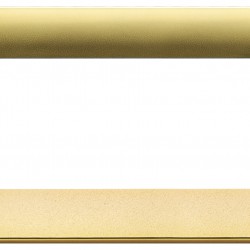 Placca Classica 4M oro opaco